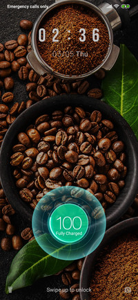 CoffeeBean_3MDP