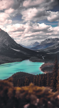 Beauty of Earth (10)