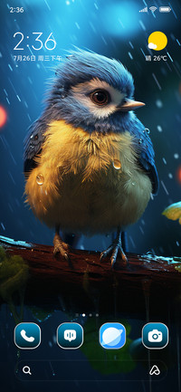 Bird Branch
