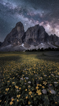 Mountain with Flower Field under Milk Way
