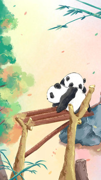 大熊猫竟有两种？