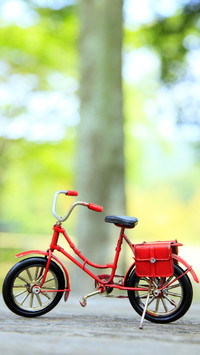 international-bike