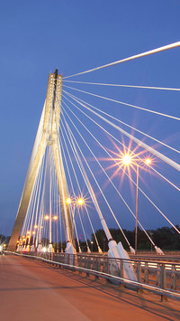 Bridge (15)