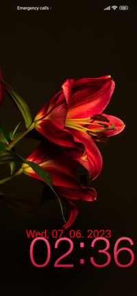 nature lily