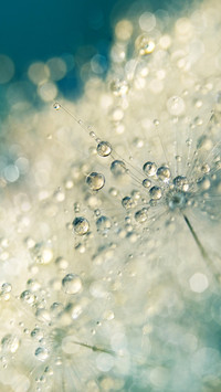 raindrops (9)