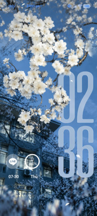 N3D, Bloom due