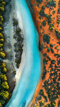 Small lagoon shark bay