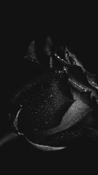 Black and White Photography Art