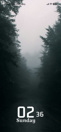Foggy Path