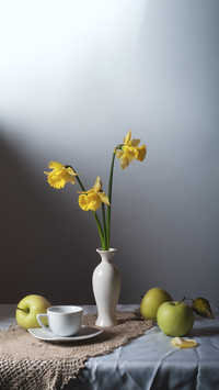 Still Life daffodils and green apples