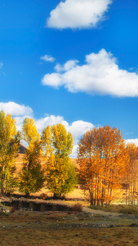 Autumn Scenery On Earth