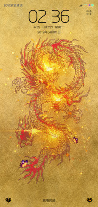 黄金龙