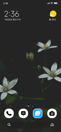 Gentle White