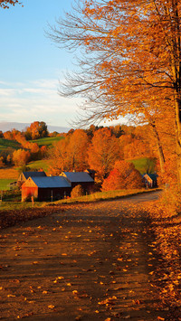 Autumn morning