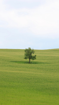 Eye protection and fresh grass