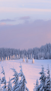 Winter scenery-02