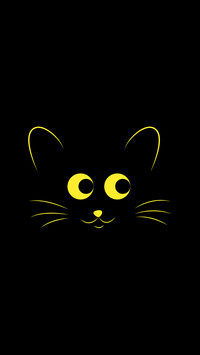 Black cool cat