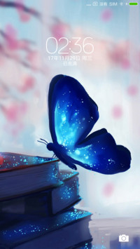 蝴蝶情