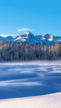 Winter at Pokljuka in Julian Alps