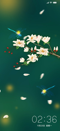 玉兰花开