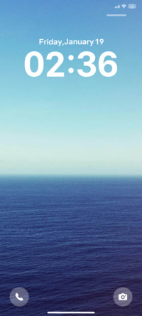 Native smart sea