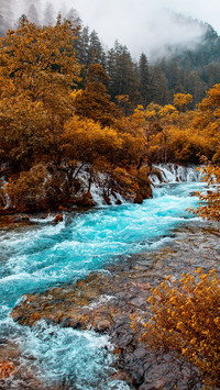 Glacial water flows over the rocks