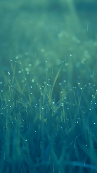 清新雨季