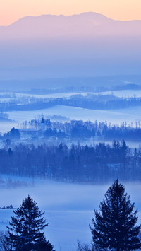 邂逅冬日雪景