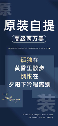 原装自提高级两万黑