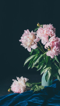 花器本无情，遇花则有心