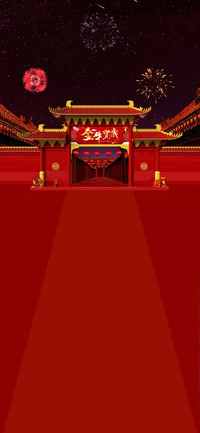 新春烟花之夜