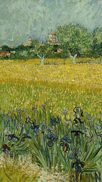 FieldwithFlowersnearArles