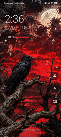 Halloween Night