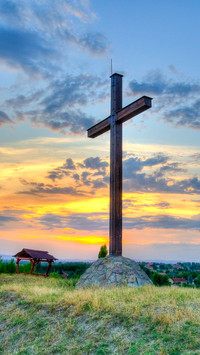 International-cross