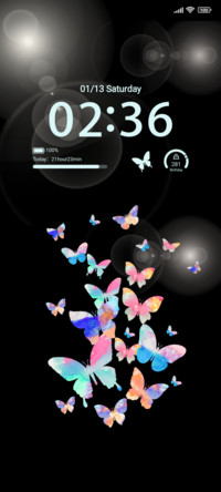 Colorful butterfly