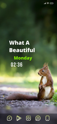 Cute Squirrel