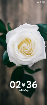 White Flower