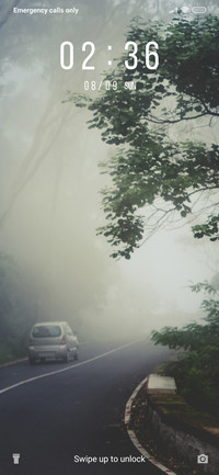Morning Fog_3MDS