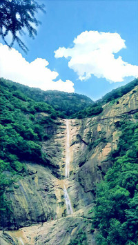 1209840517story_pic_merged_1482207774983