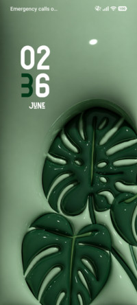 Mint Aura ?