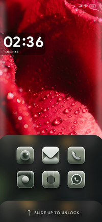 Rose_8