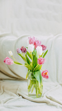 Spring flowers, bunch of tulips in the glass vase