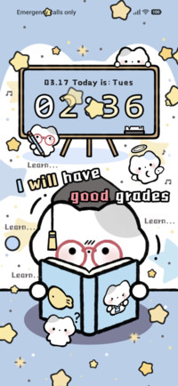 Kitty Study Hard