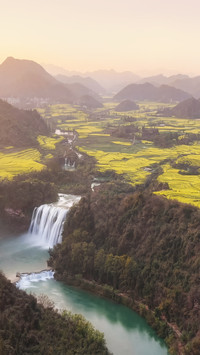 Yunnan Luoping Rapeseed Flower Waterfall Cluster
