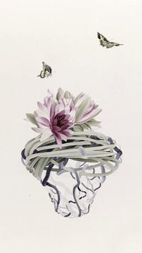 康春慧 执花寄月