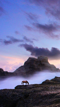 People and Nature