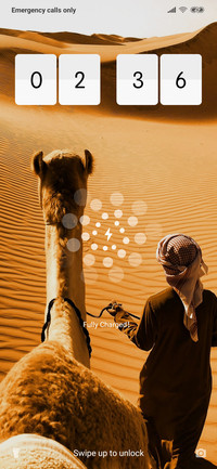 CamelSafari_3MDS