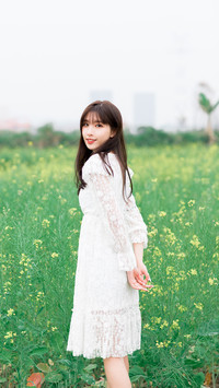 悦目是佳人-锐景创意