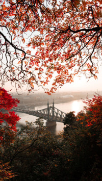 Bridges Of Life (11)