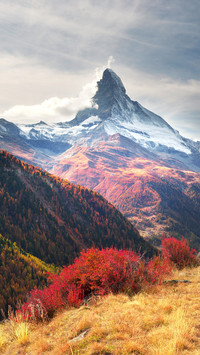 Scenery